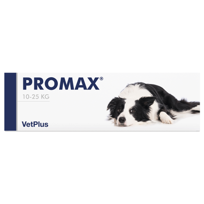 PROMAX MEDIUM BREED 1 syr x 18 ml