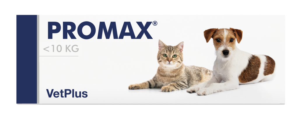 PROMAX SMALL BREED 1 syr x 9 ml